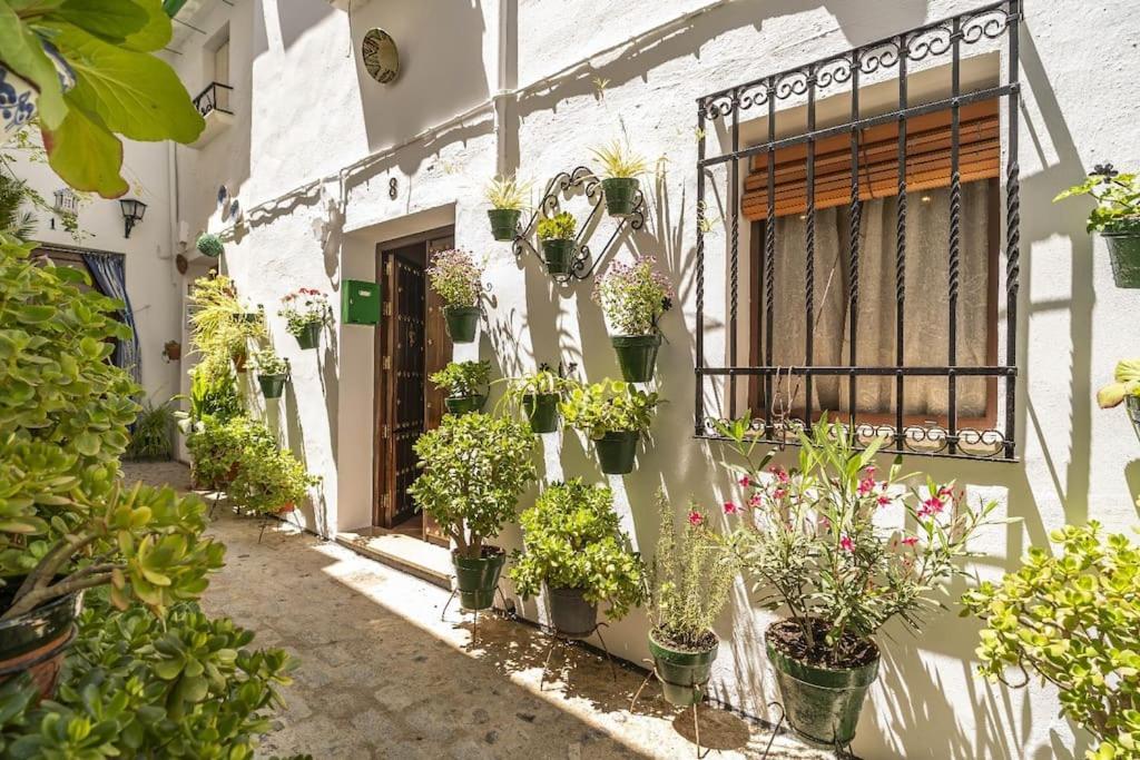 Casa Con Patio Y Terraza En Barrio Historico De La Villa, Junto Al Adarve Priego de Córdoba Exteriér fotografie